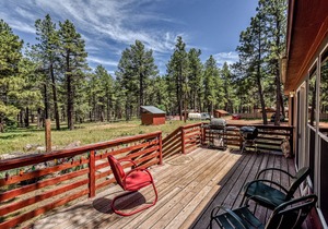 Gorgeous & Historic 3 BR Log Cabin w/ Forest Views / 20 minutes from Flagstaff