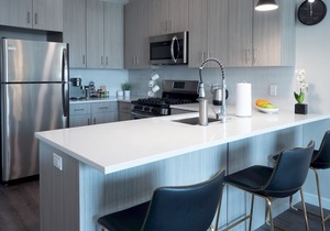 Gorgeous Modern Apt w/ Rooftop | Downtown at Yale
