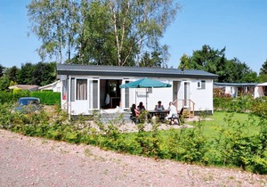 Goudvink 602