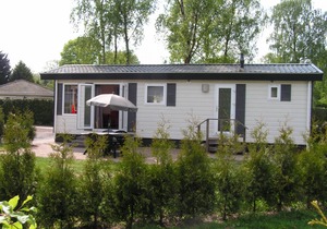 Goudvink 602
