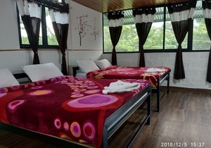 Green hills farm and guest house aachakarai masinagudi