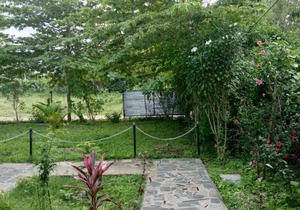 Green hills farm and guest house aachakarai masinagudi