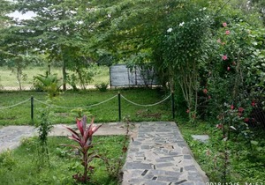 Green hills farm and guest house aachakarai masinagudi