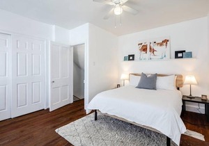 Guest Apartment In Row Home With Backyard Patio