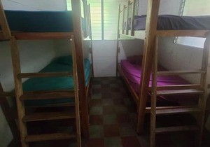 Hammock Plantation