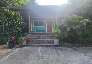 Hammock Plantation