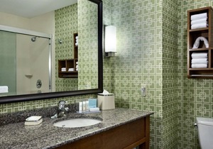 Hampton Inn and Suites Clayton/St Louis-Galleria Area 1 King Studio Suite