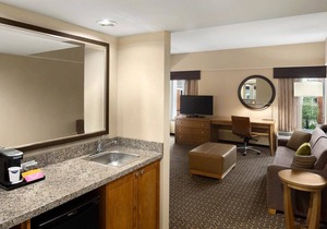 Hampton Inn and Suites Clayton/St Louis-Galleria Area 1 King Studio Suite