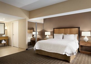 Hampton Inn and Suites Clayton/St Louis-Galleria Area 1 King Studio Suite