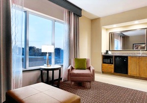 Hampton Inn and Suites Clayton/St Louis-Galleria Area 1 King Studio Suite