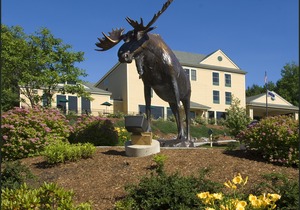 Hampton Inn Freeport/Brunswick