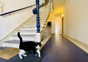 Haus Louise/Seegans