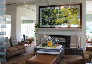 Hilton Garden Inn Addison