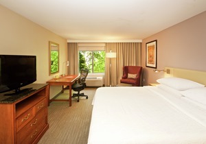 Hilton Garden Inn Seattle/Renton