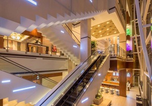 Hilton Norfolk The Main