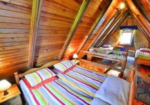 Holiday home in Osieki for nature lovers