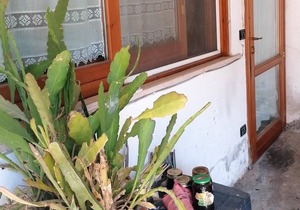 Homerez - Appartement 3 km away from the beach for 4 ppl. at San Mauro Pascoli
