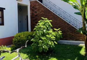 Hostel ∙ 10 guests