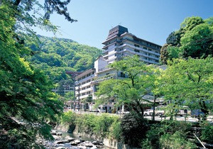 Hotel Okada