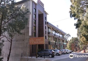 Hotel Ravine Palace