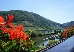 Hotel Traube Lof