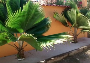 House TAMOIOS CABO FRIO
