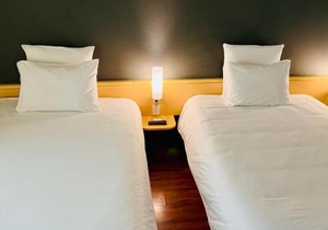 Ibis Monterrey Valle