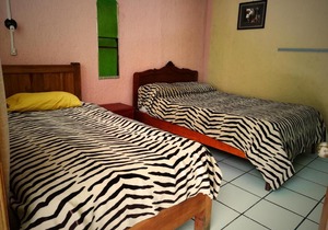 Iguana Hostel