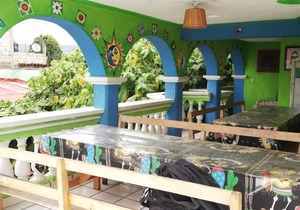 Iguana Hostel