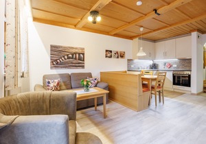 Iii, Ferienwohnung Unternberg , Balkon, Kochnische, 2 Schlafz. und 1 Wohnz., max 4 Pers