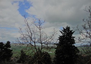 Il vecchio frantoio