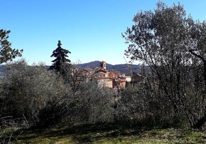 Il vecchio frantoio N.2
