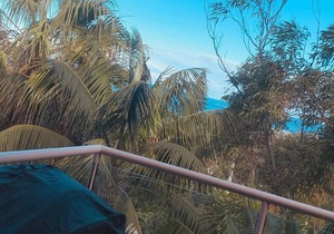 Immaculate designer house-sweeping views over iconic Blueys Beach 3min walk away