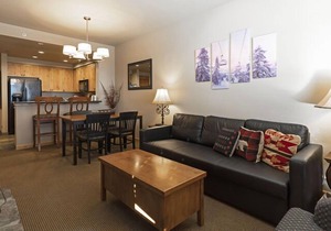Immaculate ski in ski out condo - direct ski in and out, winter hot tub , gym, covered parking!!