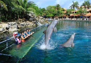Increíble estudio en Puerto Aventuras, Condominio con alberca # 201