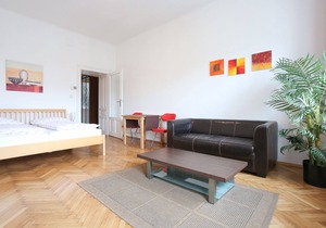 Inexpensive, practical 1-room apartment with a great local scene nearby