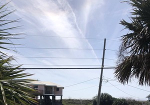 Island Palms Cabin 3