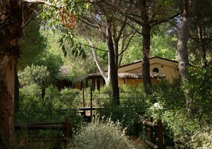 Bungalow in the tourist village Rocchette