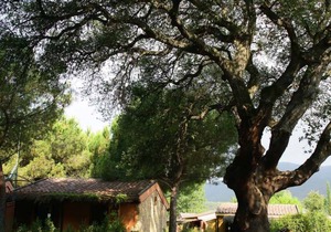 Bungalow in the tourist village Rocchette