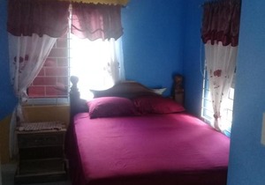 Jacaranda Cottage