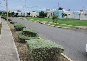 Jacaranda vacation home