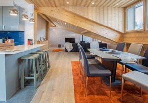 JOUX PLANE B301
