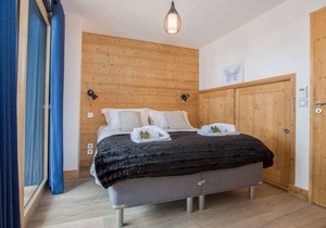 JOUX PLANE B301
