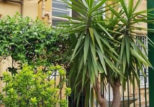 Jubilee 3 Luxury apartment in Rome Vatican