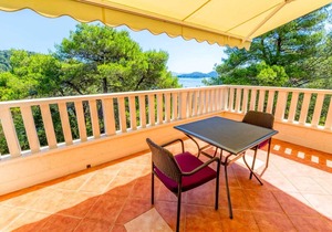 Karla - Studio in Polače, balcony with partial sea view