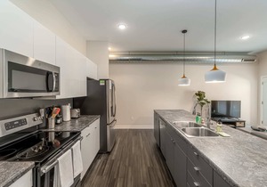 Kasa | 2BD, Walk to Sculpture Park | Des Moines