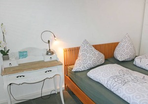 Kegelrobbe