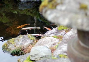 Kinokuniya Ryokan