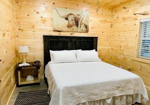 Knotty Squirrel Cabins