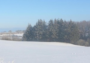 Komfortable-Ferienwohnung-in-Waabs-Ostsee-Damp-Eckernfoerde